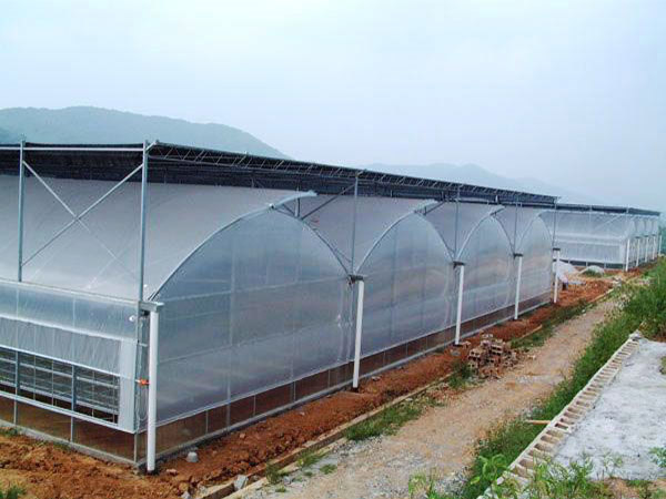 连栋温室的建筑基础应如何设计