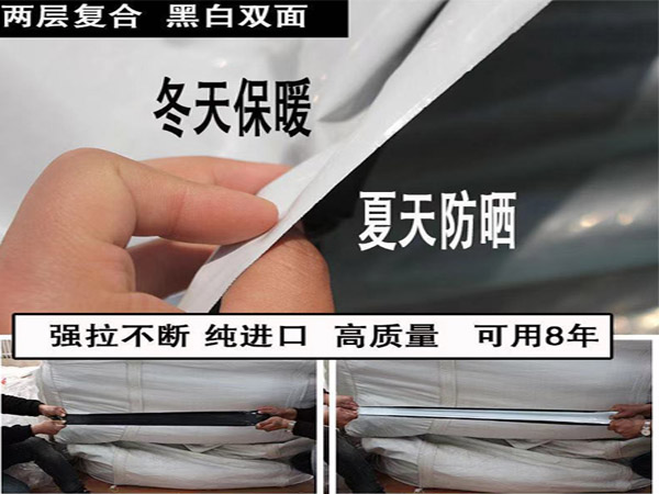 未标题-5.jpg
