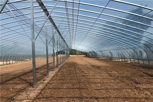 连体智能大棚建设完成后，应当按照有关规定尽可能进行验收