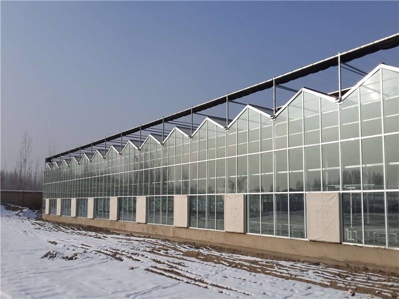 部分地区在建温室大棚时，往往忽视了当地的自然条件