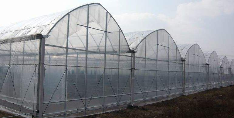 连体温室大棚做好温室工程及时的防护防汛工作是非常有必要的