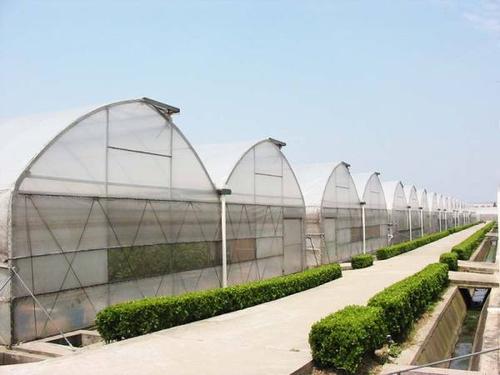 蔬菜温室大棚建设完成后种植蔬菜，品质好、产量高
