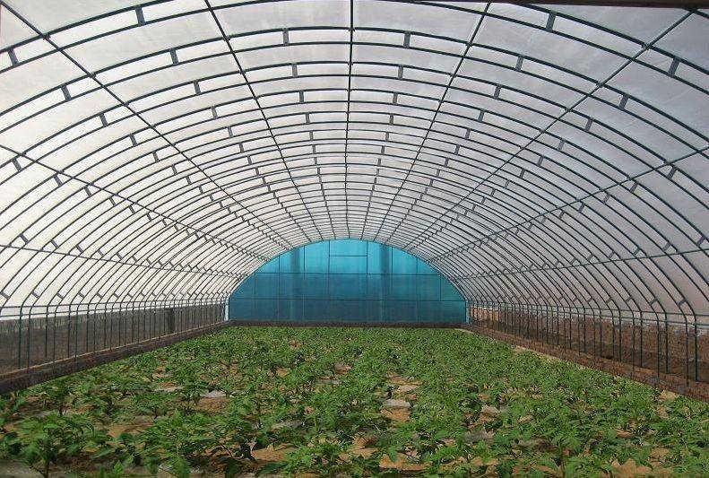 对于在建设温室大棚中的一些必要的事项还是要有所了解的