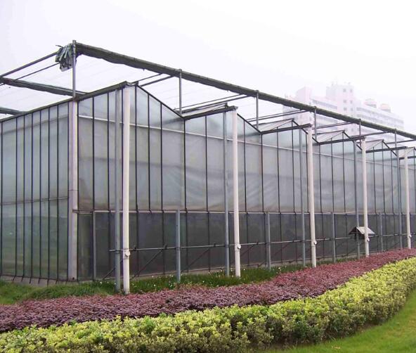 玻璃温室大棚种植中，肥料的施用十分重要