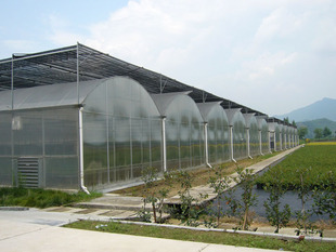 建造连栋温室大棚须注意一些事项，为了能利用大棚获取收益