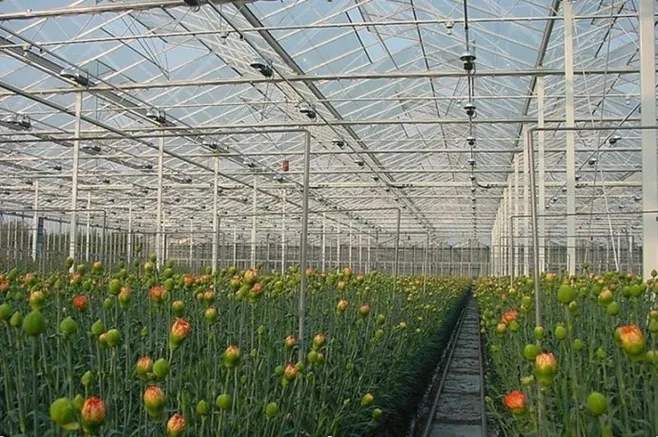 蔬菜大棚建设由于自身保温能力差，加温能耗高