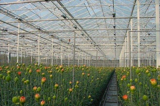 蔬菜大棚在搭建的过程中会使用冷轧材质，这样可以提升大棚的稳固度