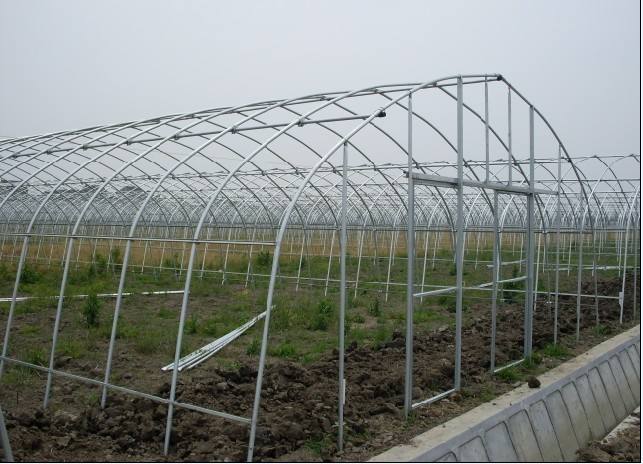 蔬菜大棚的建造需要满足农作物类型的生产需求，同时也要与当地环境，温度