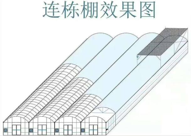 效果图