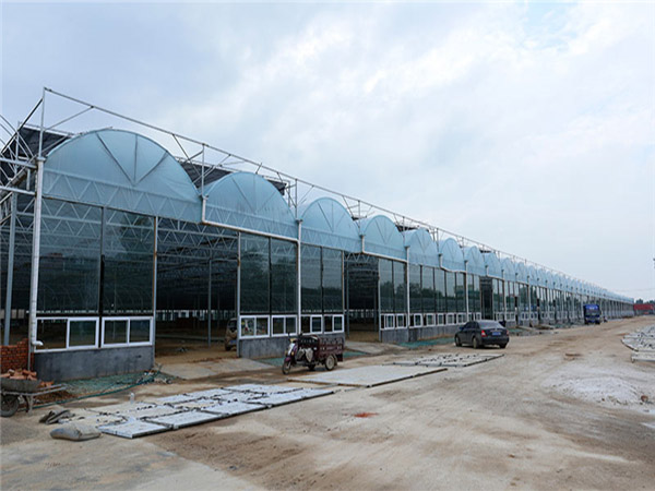连栋大棚建设中的问题和解决方法