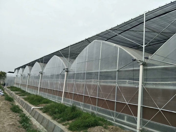 温室大棚阳光板