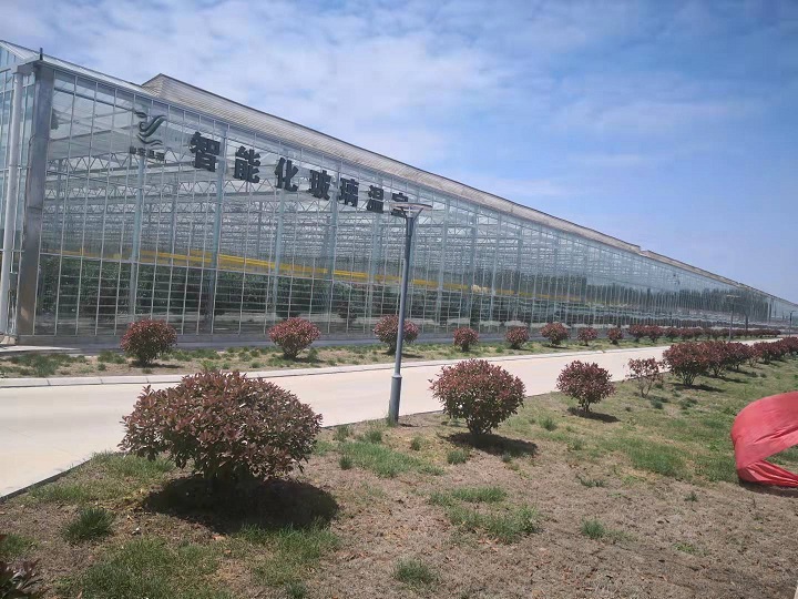 智能化玻璃温室施工现场