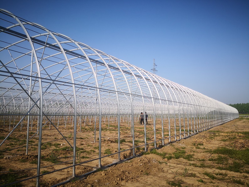 蔬菜大棚施工现场