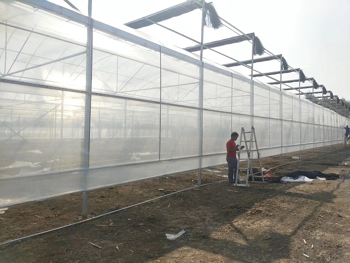 薄膜大棚施工现场