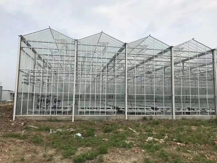 连栋大棚施工现场