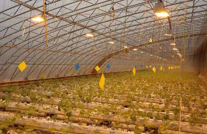 温室大棚：冬季温室大棚补光的三个方法