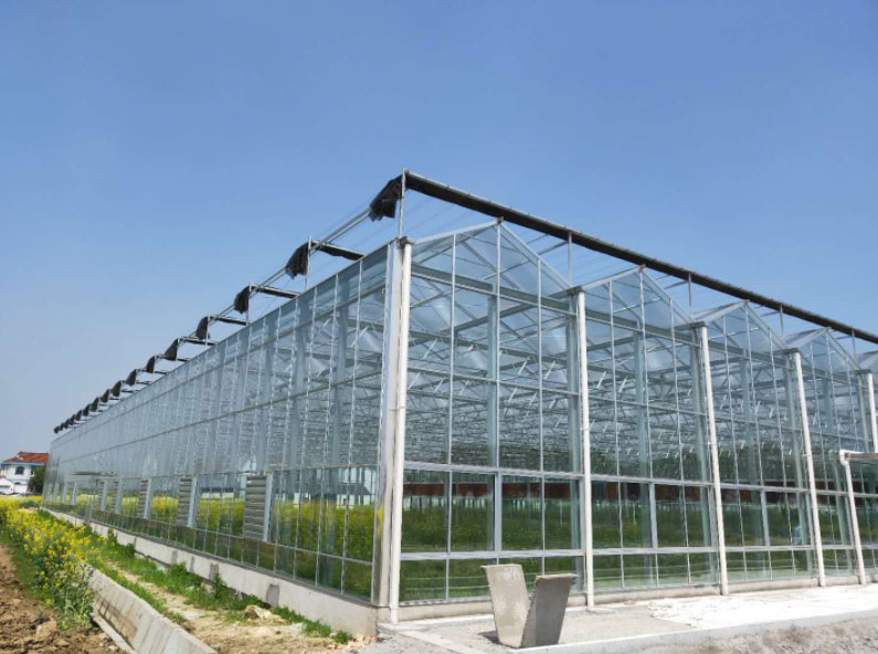 蔬菜温室大棚冬季常见的保温方法