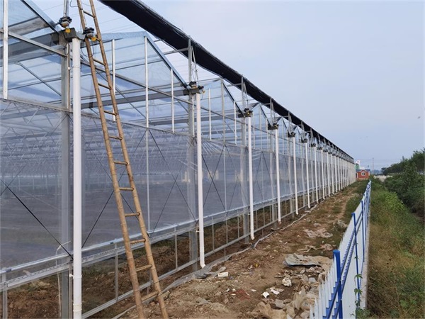连栋温室大棚建设有哪些需要注意的问题？