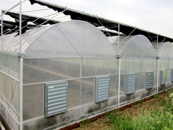 连栋薄膜温室大棚建造的注意事项